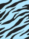 Blue zebra print