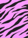 purple zebra print