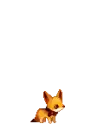  Lil Coyote