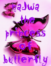 Najwa the princess of butterfly