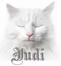 White cat-Judi