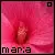 name