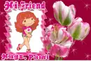 Strawberry shortcake - Pami