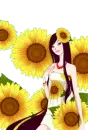 doll sunflowers
