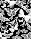 butterflies