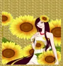 doll sunflowers