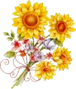 doll sunflowers