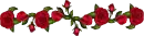 rosas de colores
