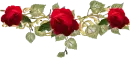 rosas