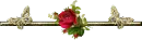 rosas con mariposas