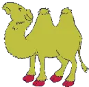 06