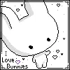 I Love Bunnies*