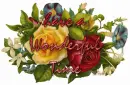 have a wonderful time