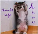 thunbs up