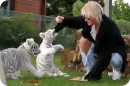 Sarah Connor, Love, Tiger, Cat