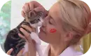 Sarah Connor, Love, Cat, Mino