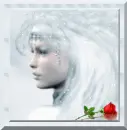 Ice Queen Rose