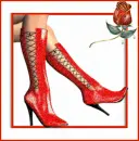 Red Heels Rose