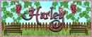 Harley