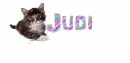 Kitten  - Judi