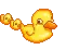 Ducks