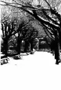 Dark Winter