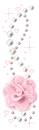 cute flower animations