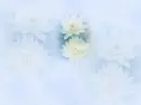 a9