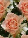 glitter flower