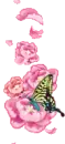 cute flower animations