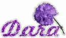 Dara Purple Flower