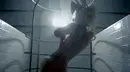gaga