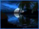 Somewhere in Elfland