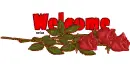 Welcome roses