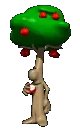 apple tree eating apple