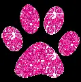 paw