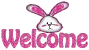 Glitter Bunny Welcome