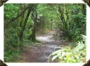 Hike in the park