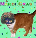 Madi Gra kitty