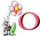 pink flower