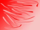 Red in Pink