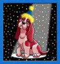 Houndie dog