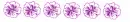 purple flower