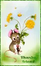 dandelion