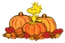 Thanksgiving
