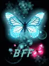 mariposa butterfly