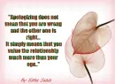 apology