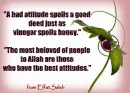 attitude