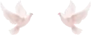 doves