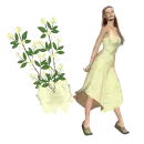 Woman stands to flower